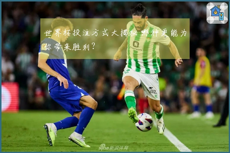 世界杯投注方式大揭秘 哪种更能为你带来胜利？