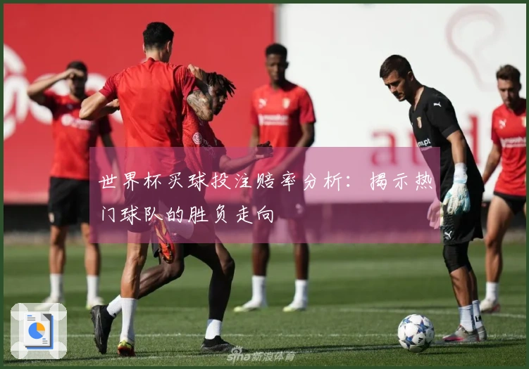 世界杯买球投注赔率分析：揭示热门球队的胜负走向