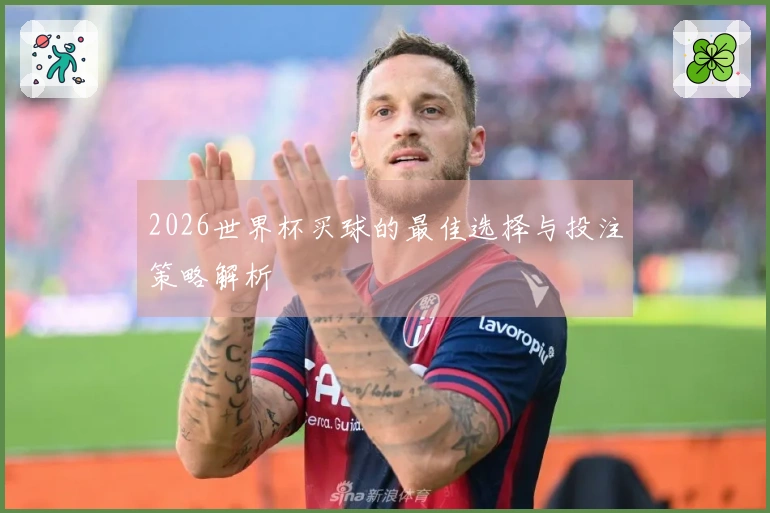 2026世界杯买球的最佳选择与投注策略解析